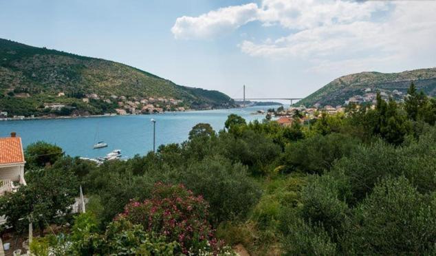 Husanovic * Mokošica