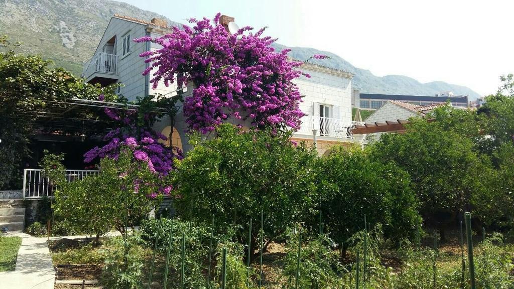 Husanovic Appartement *
