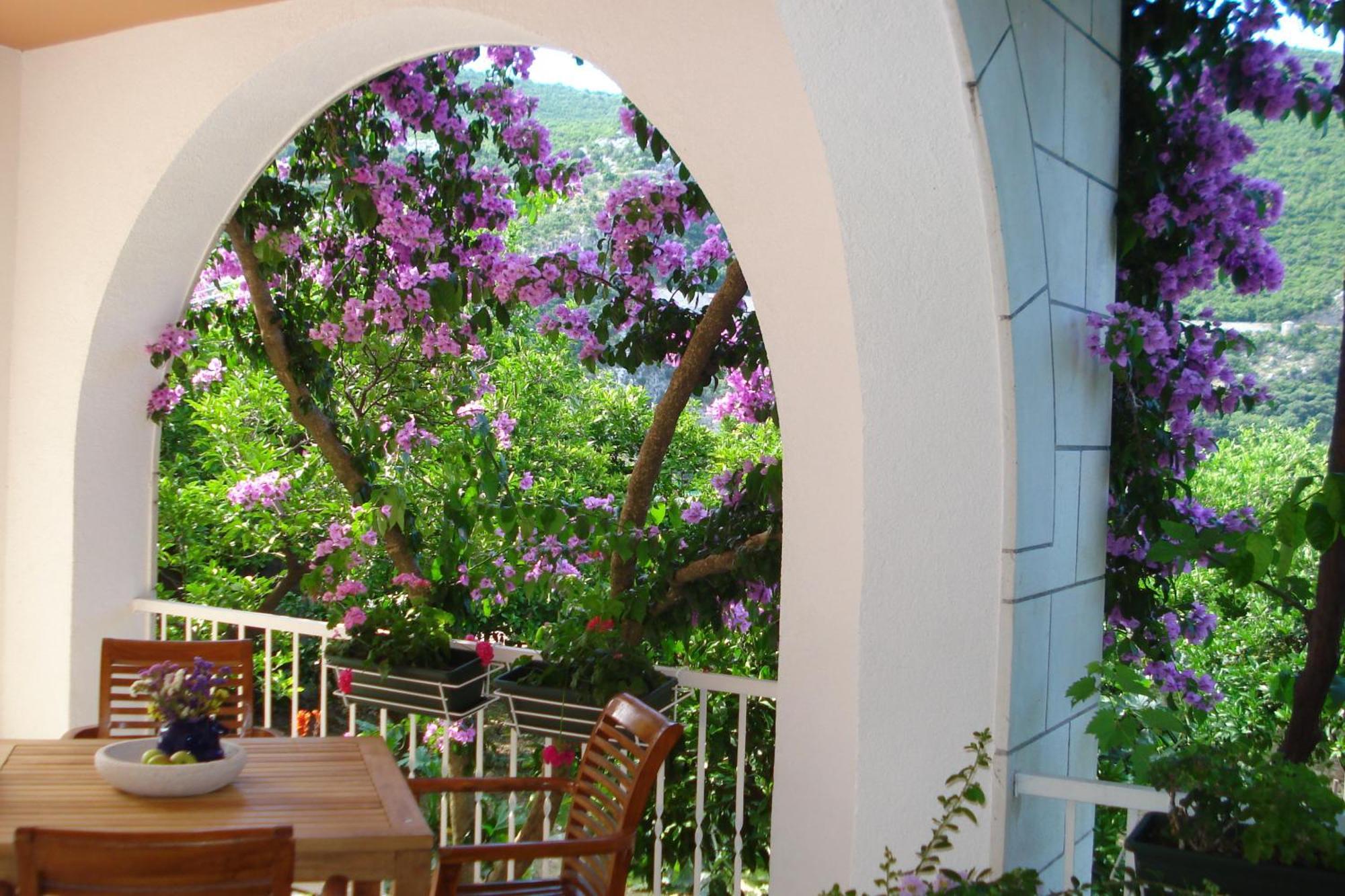Appartement Husanovic *