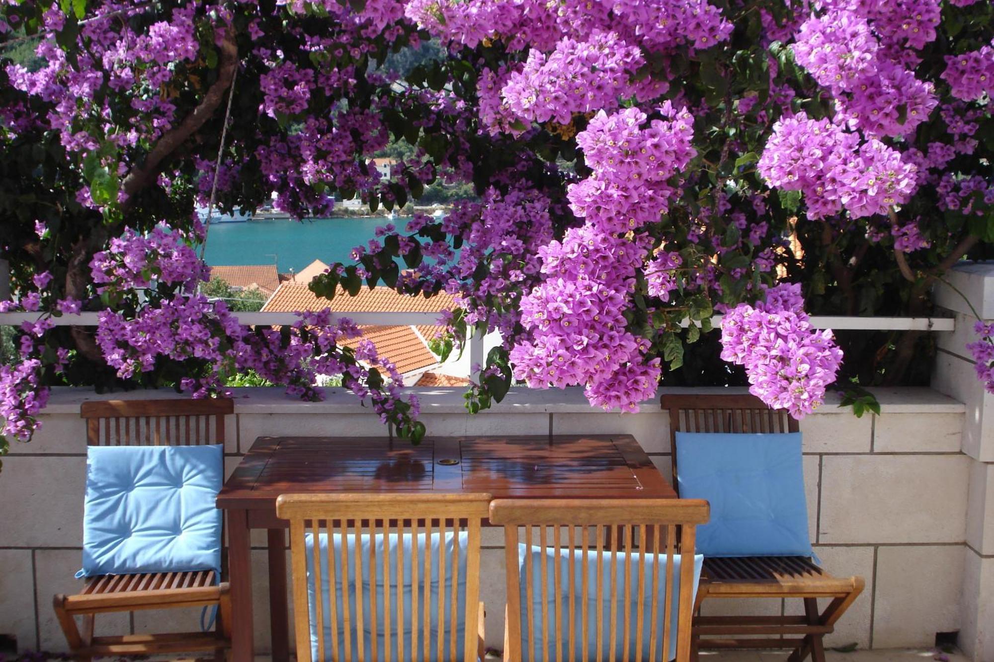 Husanovic Appartement *